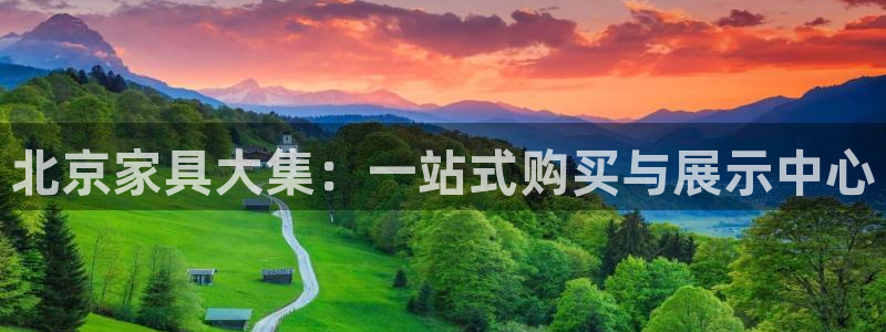 龙八国际在线玩