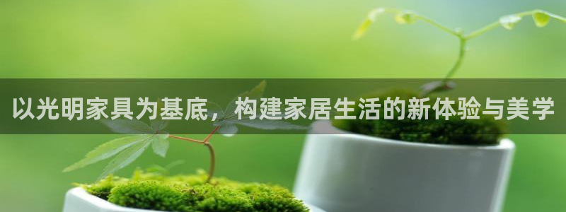 龙八国际手机下载