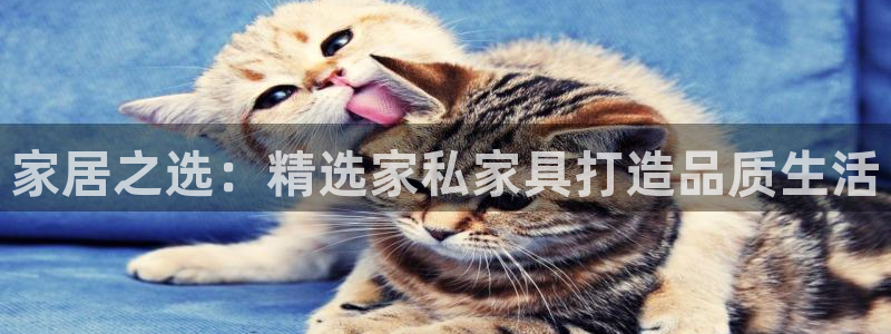 龙八国际服官网下载