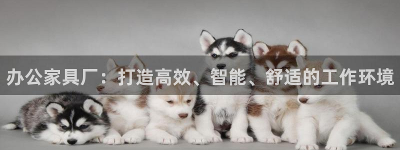 龙八国际在哪里啊