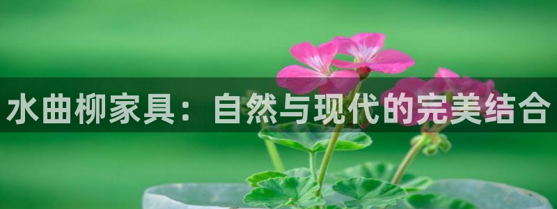 龙八国际视频入口