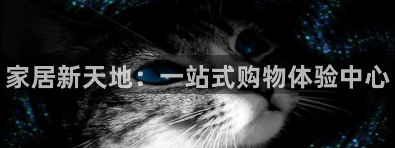 龙八国际服官网下载安卓