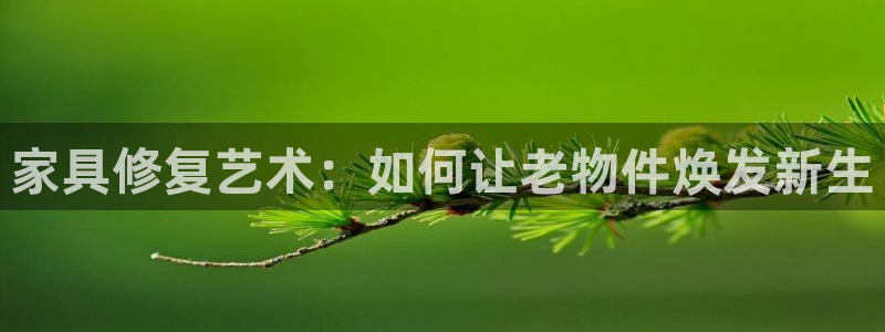 龙八国际q18 tv