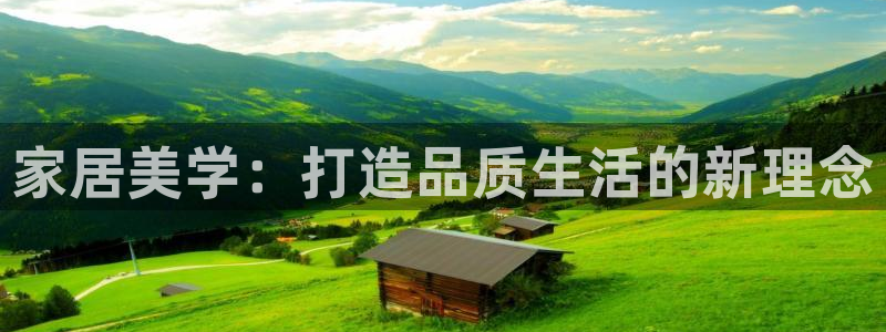 龙八国际p