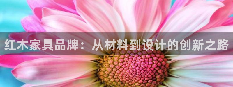 龙八国际登