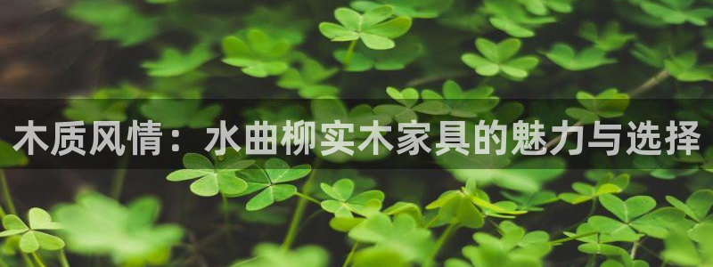 龙八国际是缅甸的吗