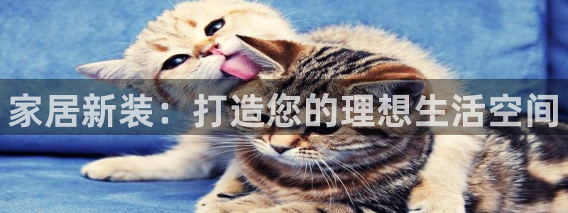 龙八国际客户端下载官网