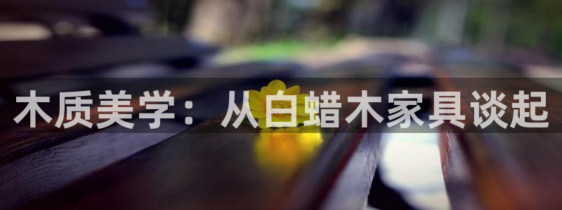 龙八国际服官方