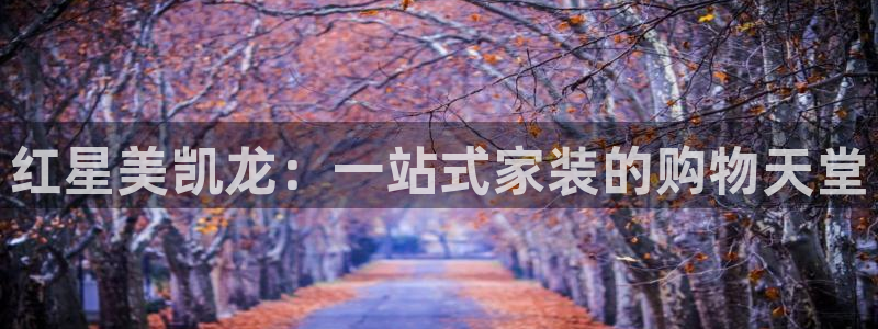 龙八国际官网入口