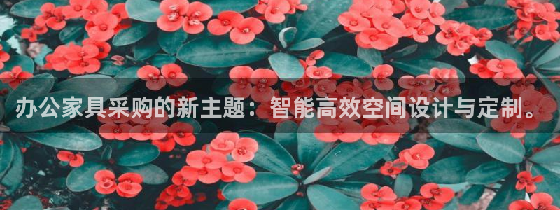 龙八国际下载地址