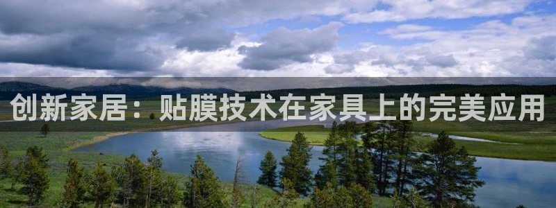 项目名称龙八国际