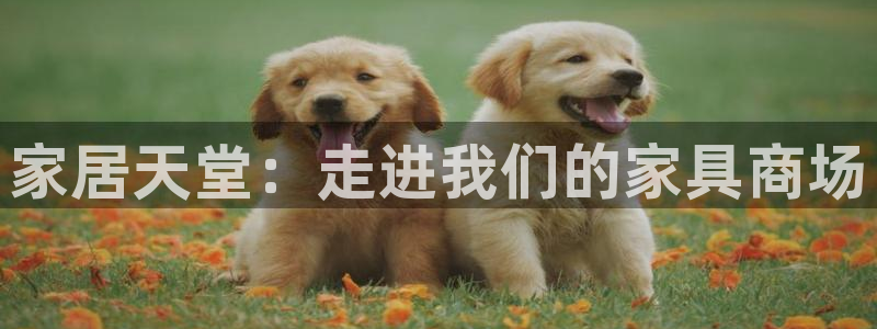 龙八国际娱乐平台网站