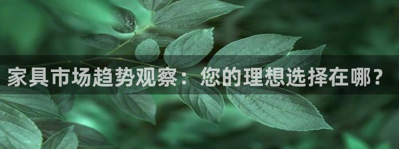 龙八国际网q18点tv