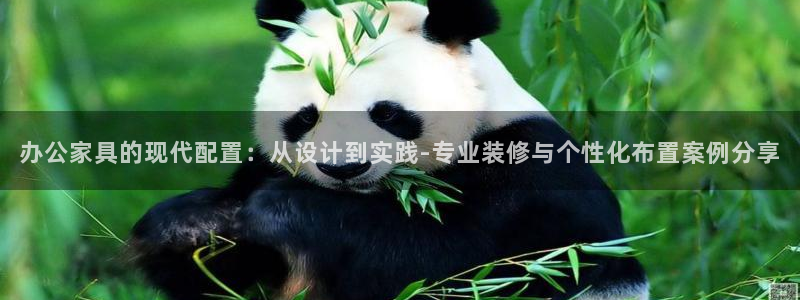 龙八国际娱乐手机版