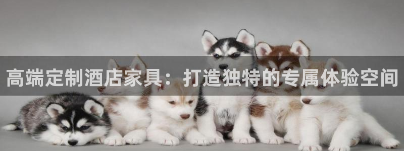 龙八国际娱乐网站多少