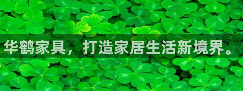 龙八国际手机网页版