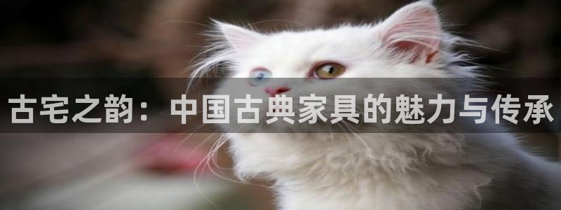 龙八国际娱乐官方