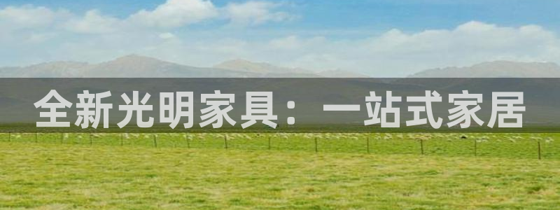 龙八国际网页登录