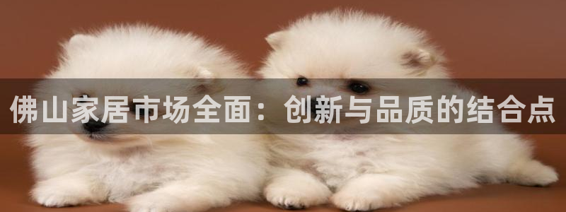 龙八国际不可思议的气球