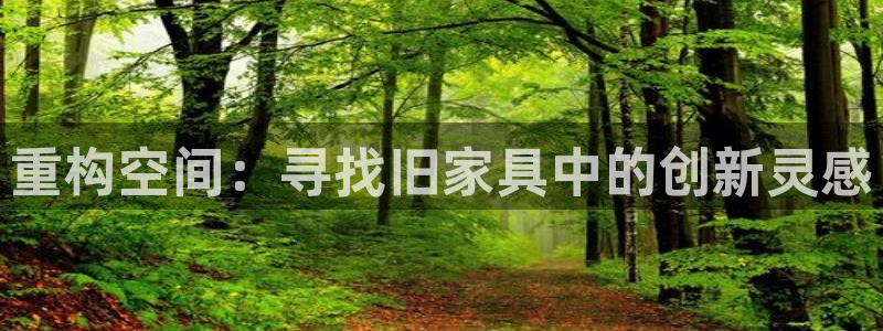 龙八国际下载安装彩