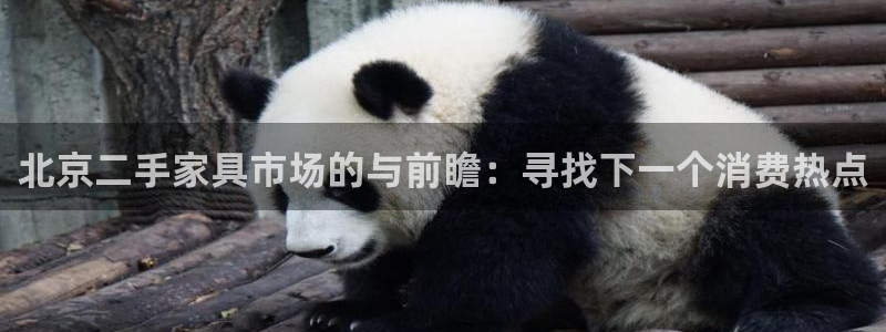 龙八国际集团有限公司