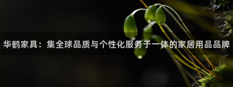 龙八国际选q18点tv