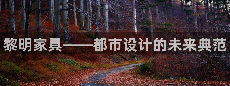 龙八国际靠谱吗：黎明家具——都市设计的未来典范